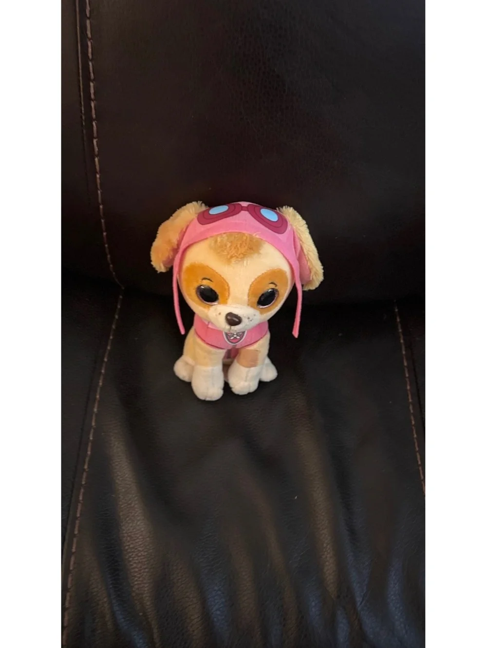 Paw Patrol Skye Plushie | Soft Stuffed Animal | Big Eyes Collectible Toy - Picture 6 of 6